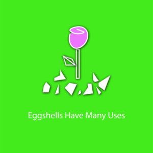 egg myth infographic - eggshells have many uses