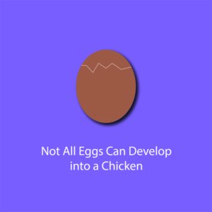 egg myth infographic - not all eggs develop into a chicken