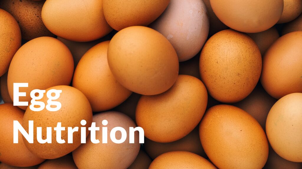 Egg Nutrition Header