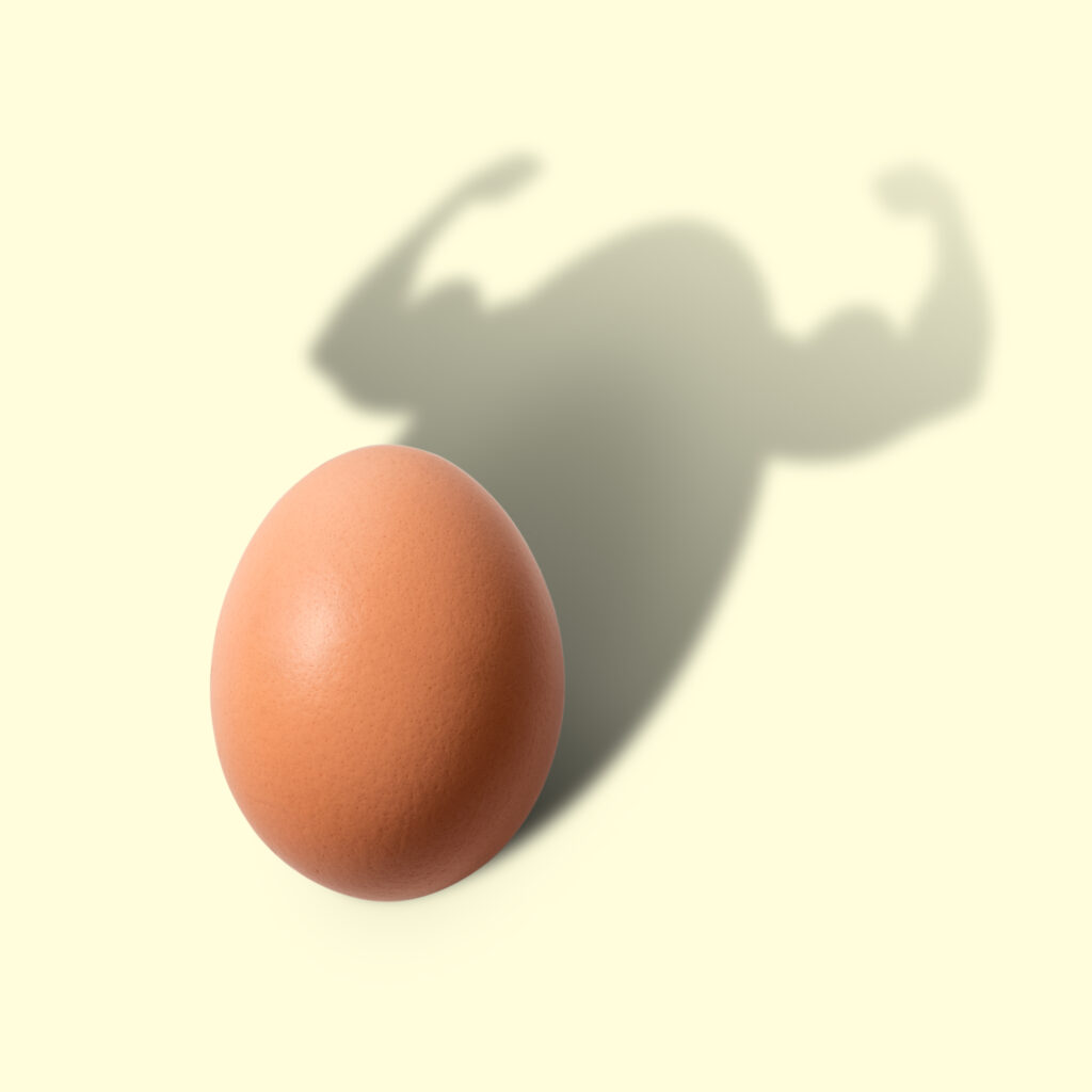Strong Egg