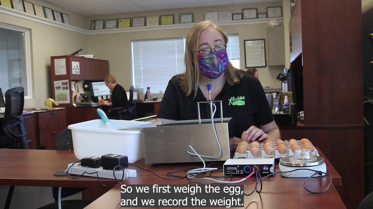 youtube placeholder image